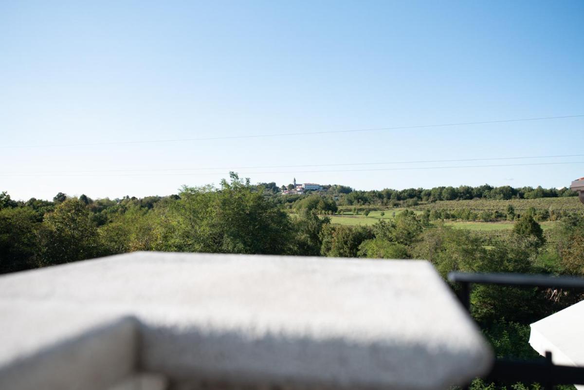 Castle House Rooms, Swimming Pool & Sauna & Tennis Court & Wine Cellar Sezana ภายนอก รูปภาพ